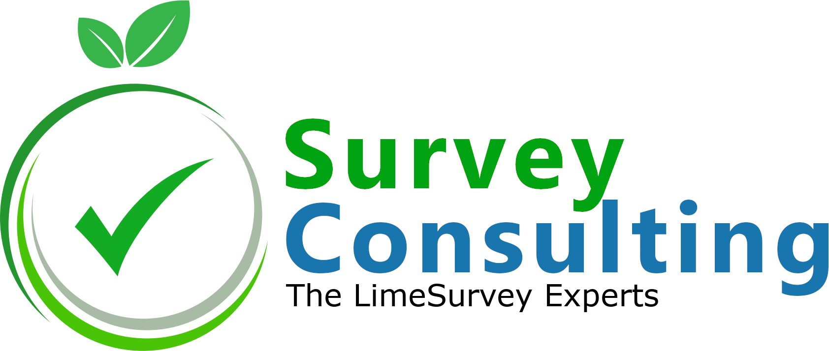Limesurvey Character Count Demo Survey